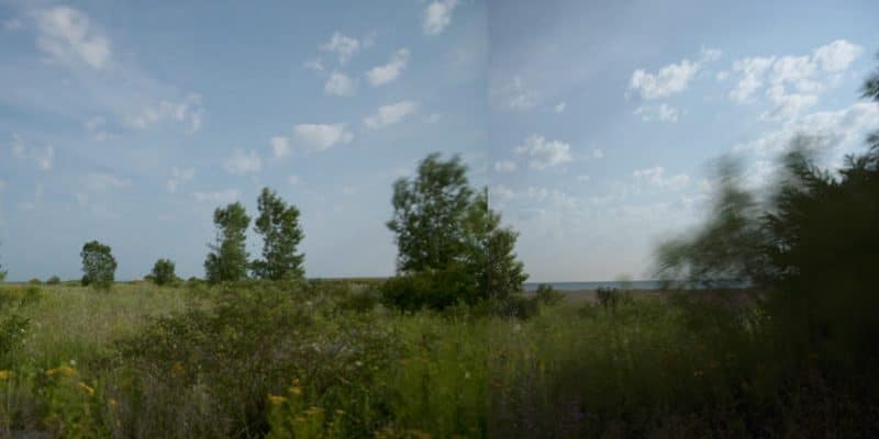 A panoramic landscape photograph of a meadow under a bright, cloud-filled sky. The image is composed of two overlapping frames, creating a subtle vertical seam. Green shrubs and tall, leafy trees are scattered across the expansive grassy field.