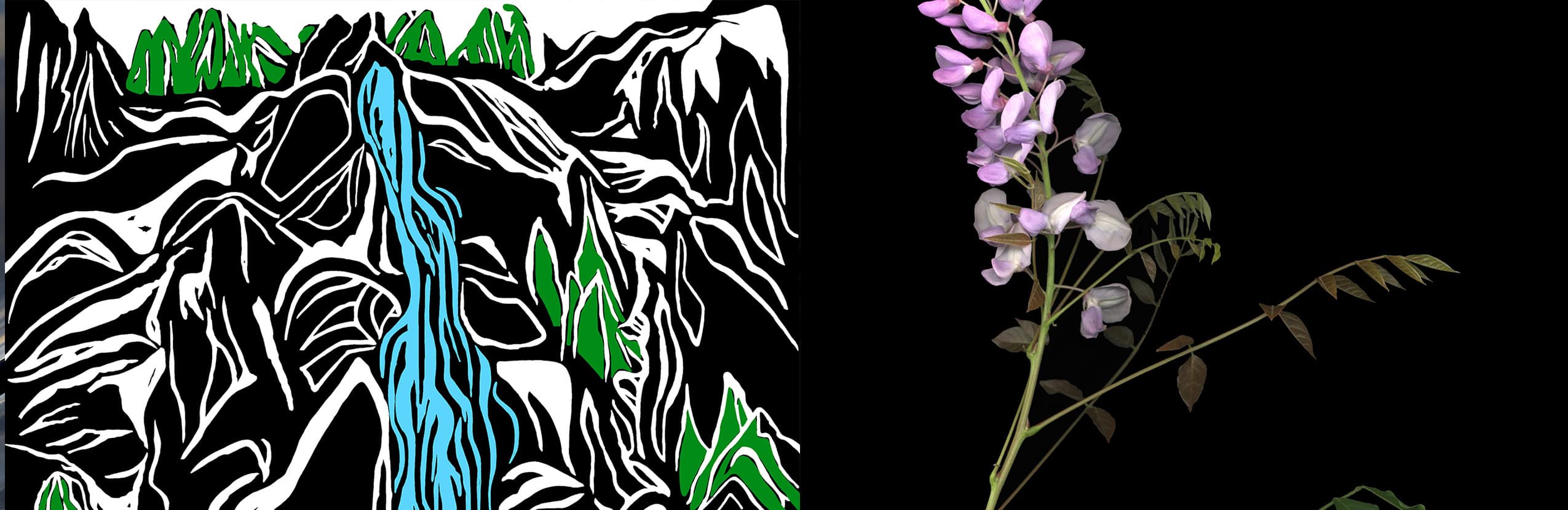A split-frame graphic for a joint exhibition. The left side is a high-contrast graphic of a waterfall in black, white, and blue. The right side features a realistic photographic study of purple wisteria flowers against a solid black background.