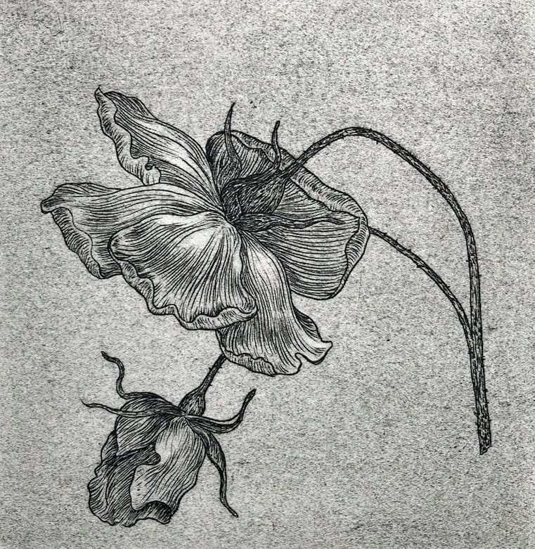 A detailed black and white line drawing of two wilted flowers with curved stems and delicately textured petals, set against a speckled gray background.