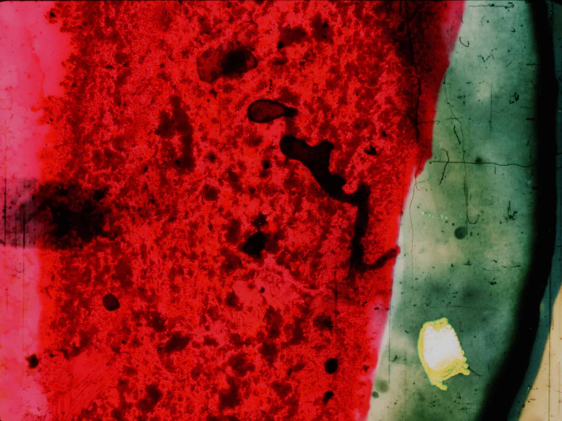 Abstract print featuring a textured red area on the left, a smooth green section on the right, and a small yellow spot near the bottom right; various dark spots and smudges are visible throughout.