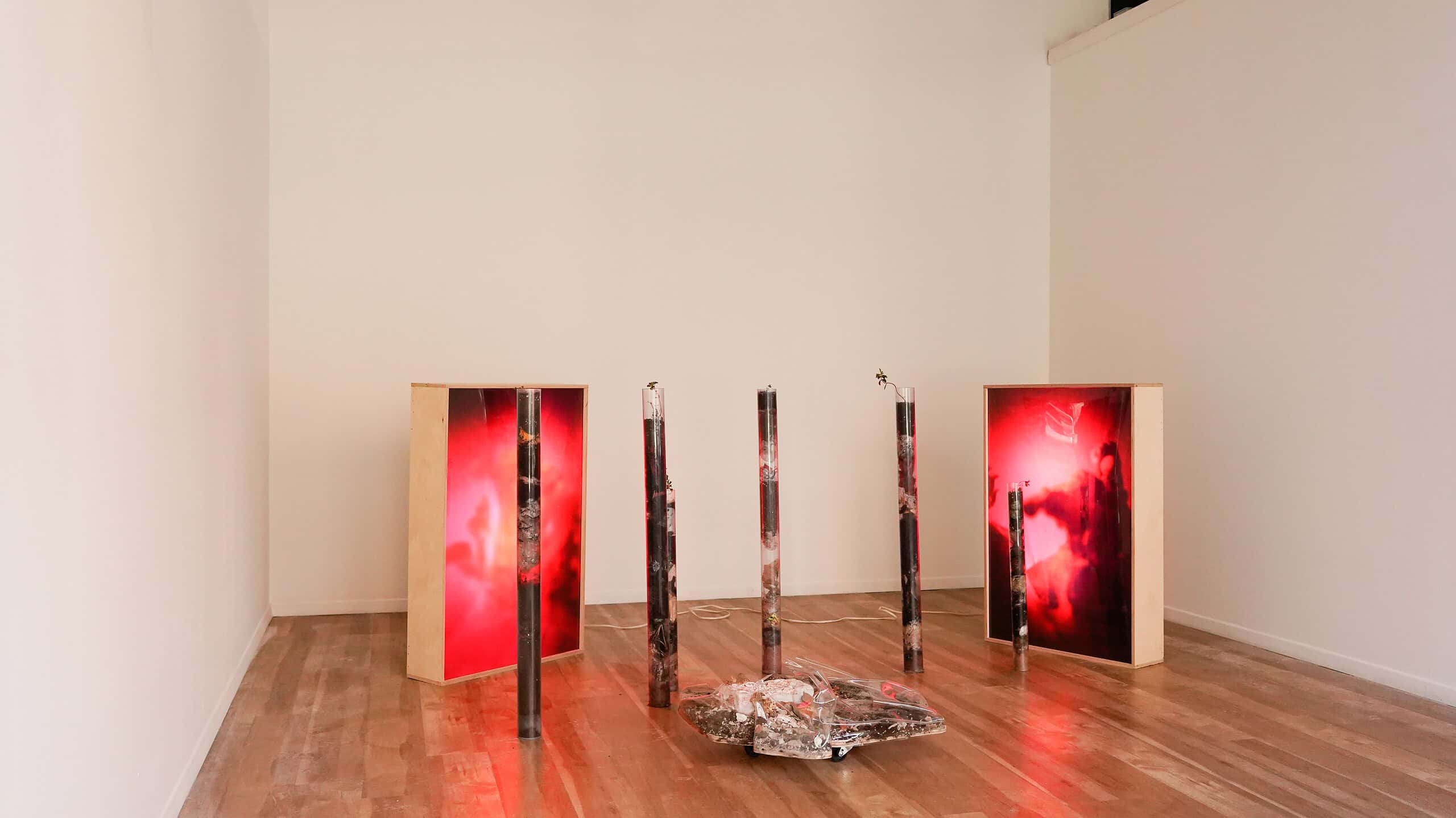 Wide shot of a gallery installation featuring soil-filled transparent tubes and glowing red panels arranged in a semi-circle on a wooden floor.