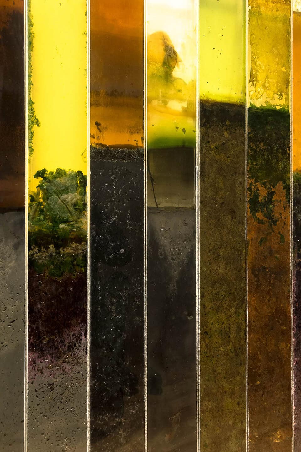 Several illuminated glass pillars containing different layers of mud and silt, showcasing a spectrum of natural colours and textures from an environmental art project.
