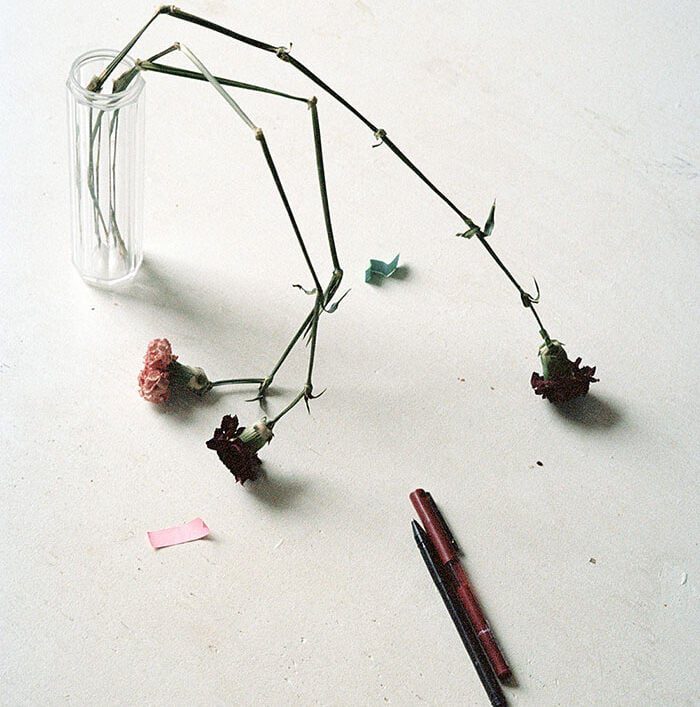 A still-life photograph of three wilted pink and dark red carnations with long green stems resting on a white surface next to two pens and a small glass vase.