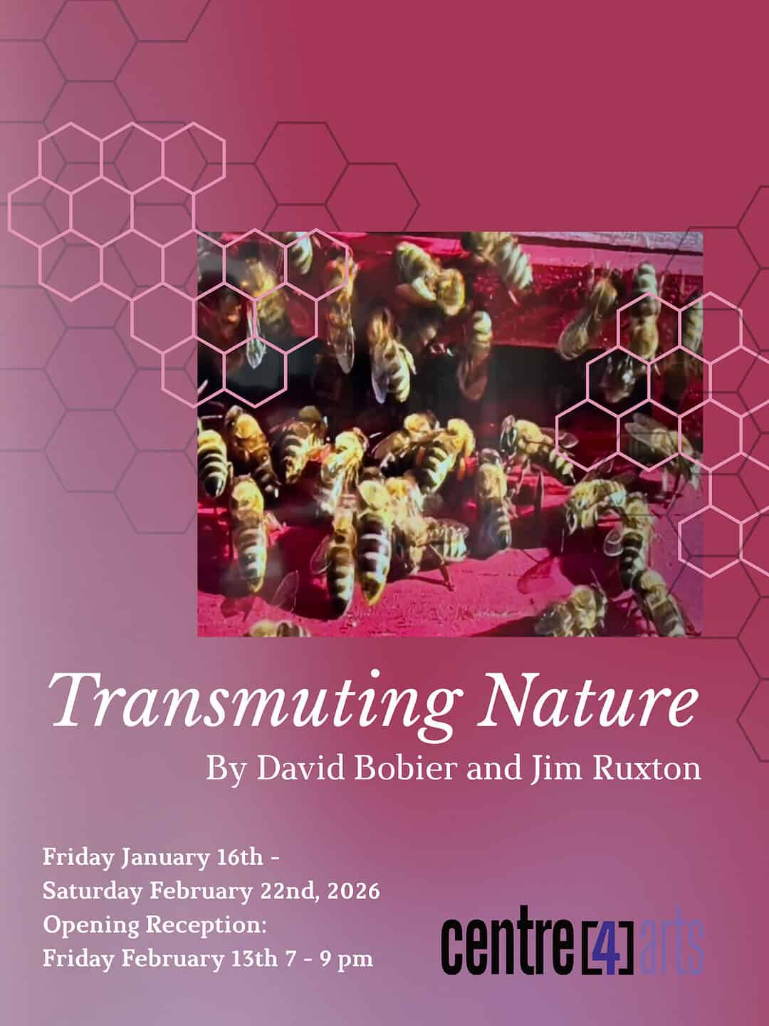 Exhibition poster for Transmuting Nature by David Bobier and Jim Ruxton at Centre[4]Arts. The design features a pink-to-plum gradient background with translucent hexagonal patterns overlaid on a central photograph of honeybees clustered on a red surface. White serif text lists the exhibition title and artists, with dates from Friday January 16 to Saturday February 22, 2026, and an opening reception on Friday February 13 from 7–9 pm.